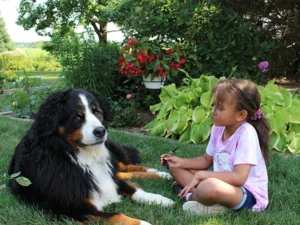 The Hidden Dangers of Dog Poop: How It Can Spread Germs Into Your Home